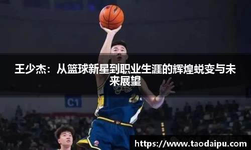王少杰：从篮球新星到职业生涯的辉煌蜕变与未来展望