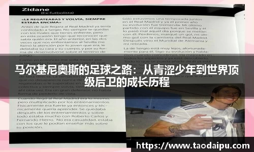 bsports官网入口